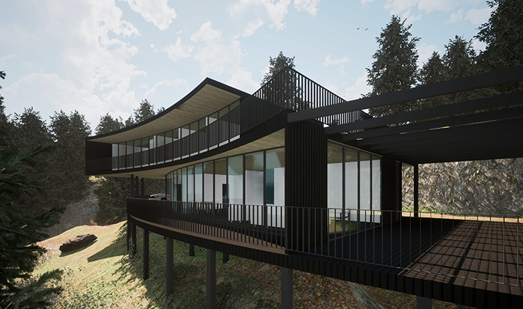 SketchUp Pro Advanced Workflows
